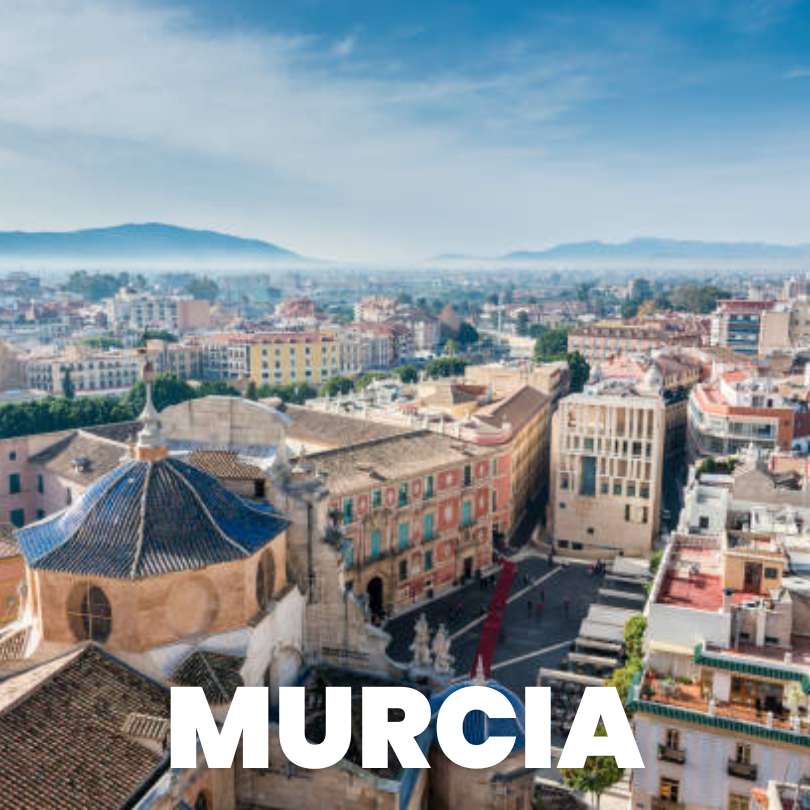 buzoneo en murcia