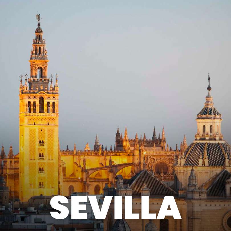 buzoneo en sevilla